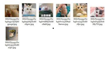 星妹吃瓜表情包,揭秘娱乐圈幕后真相