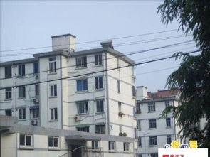 南宁塘泾新村新闻头条,打造宜居新典范