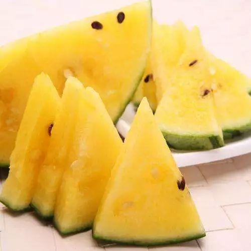 吃瓜机器哪个最好,吃瓜机器哪家强，全面评测为您揭晓最佳选择