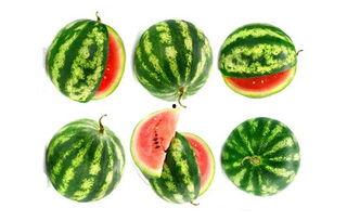 光启市吃瓜,瓜田里的热闹与故事