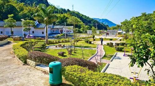 网红农村生态示范村建设,网红农村生态示范村建设纪实