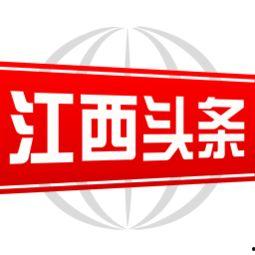 头条有239个粉丝